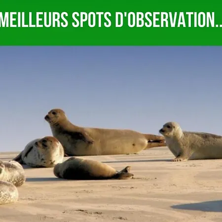 Entre Mer Et Remparts 2 * Boulogne-sur-Mer