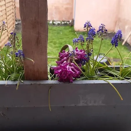 Apartment Entre Mer Et Remparts 2